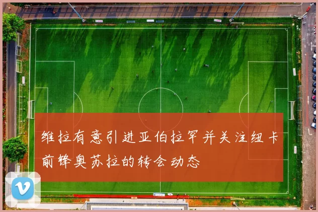 维拉有意引进亚伯拉罕并关注纽卡前锋奥苏拉的转会动态