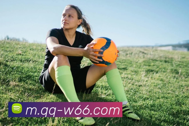 利来国际发展历程